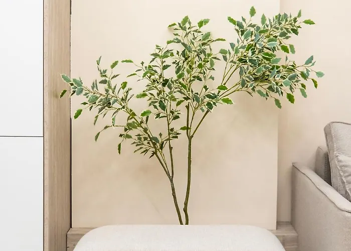 Modern 2br At New Bazaar - شقة تيرانا