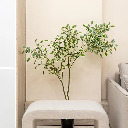 Modern 2br At New Bazaar - Apartment Tirana